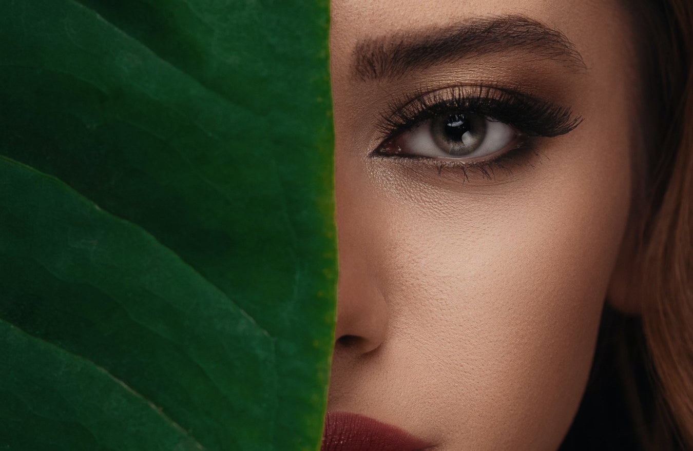 Revitalise & Reward - We Wander