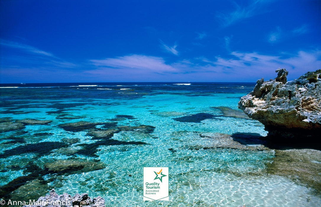 Rottnest Photographic Day Tour Without Ferry