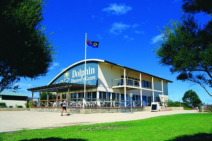 Busselton Jetty, Train Ride & Dolphin Discovery
