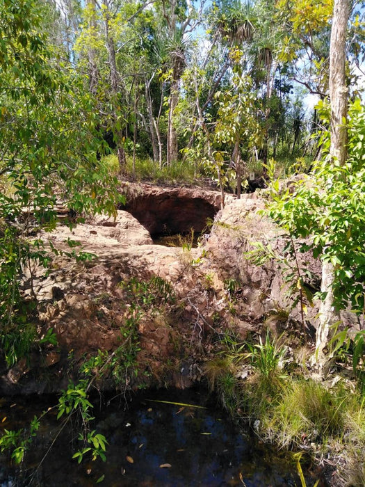 Litchfield Park Adventures + Berry Springs Natural Reserve