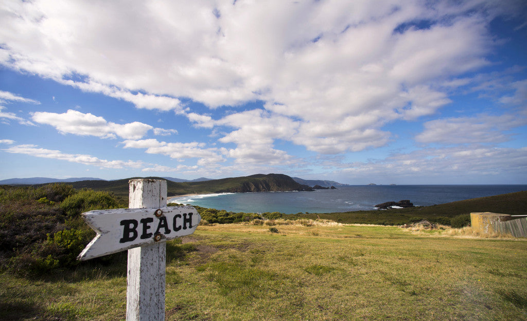 Family Bruny Island Discovery Tour