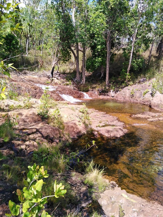 Litchfield Park Adventures + Berry Springs Natural Reserve