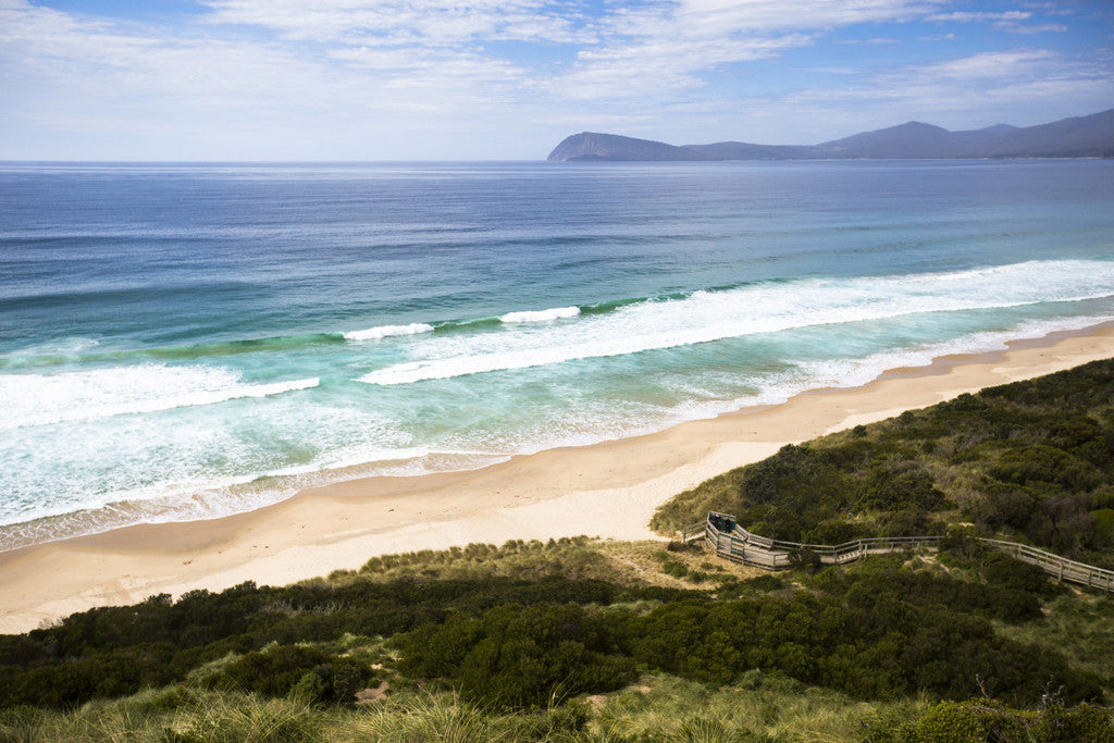 Family Bruny Island Discovery Tour