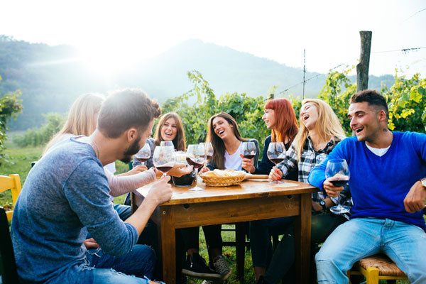 Luxury Private Picnic Experience - Lavender Bay