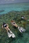 Snorkel With The Fish Wave Break Island