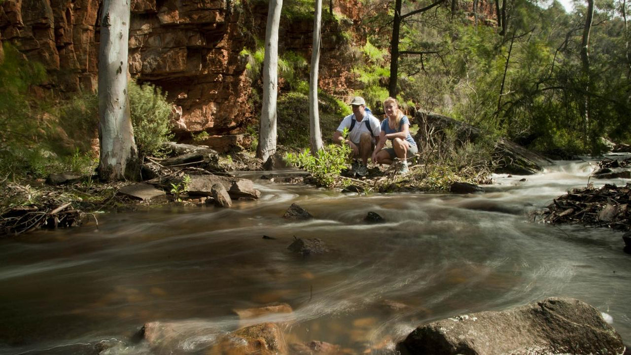 3-Day Flinders Ranges & Outback Small Group 4Wd Eco Safari