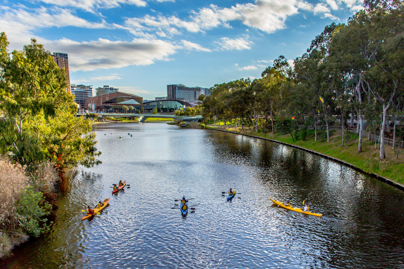 Adelaide City Kayak Tour