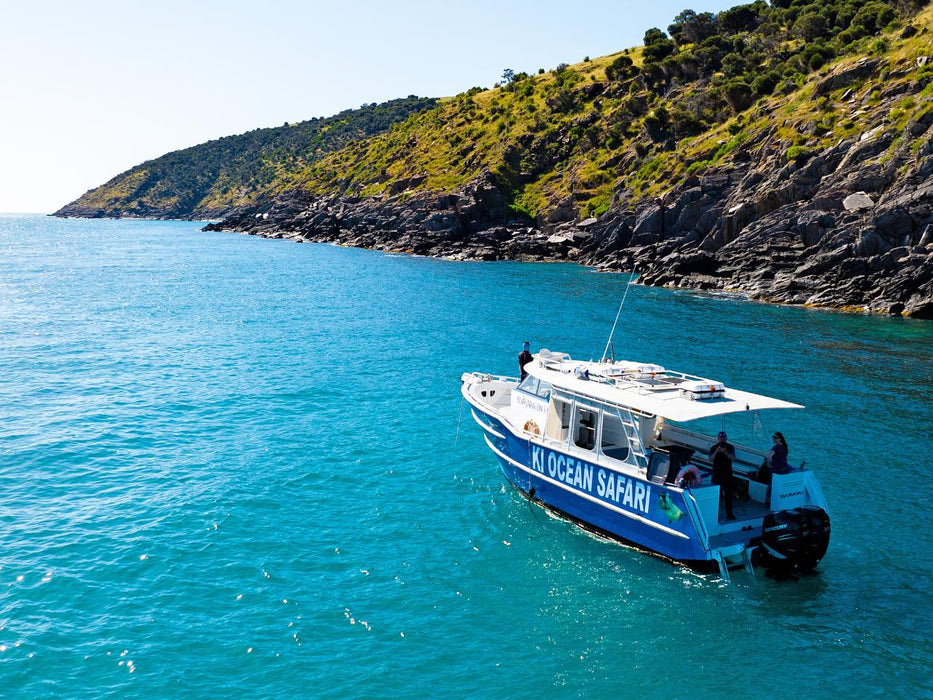 Kangaroo Island Ocean Safari - 75 Minute Safari