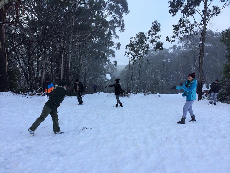 Mt Buller Snow Day Tour