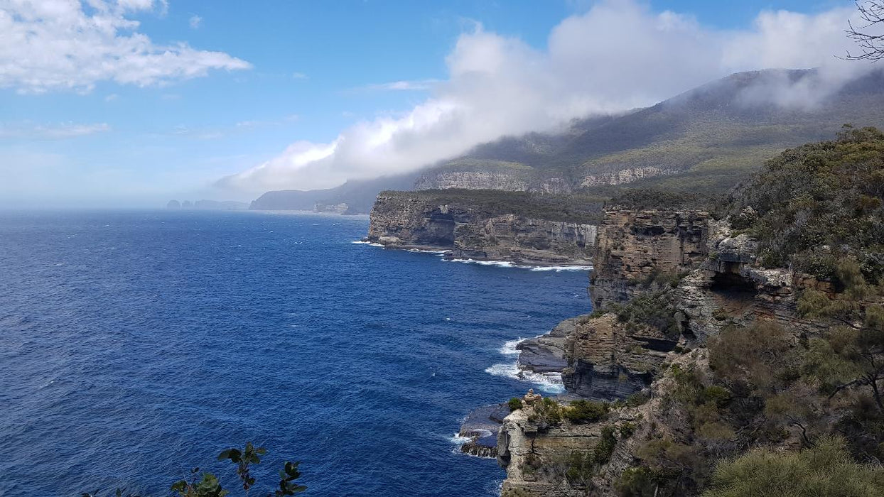 Port Arthur & Tasman Peninsula Day Tour