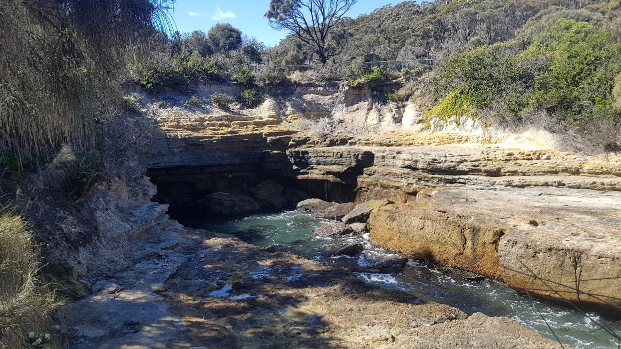 Port Arthur & Tasman Peninsula Day Tour