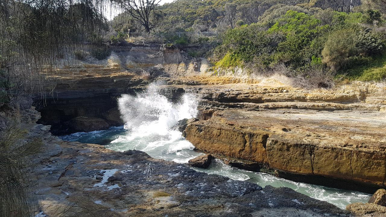 Port Arthur & Tasman Peninsula Day Tour