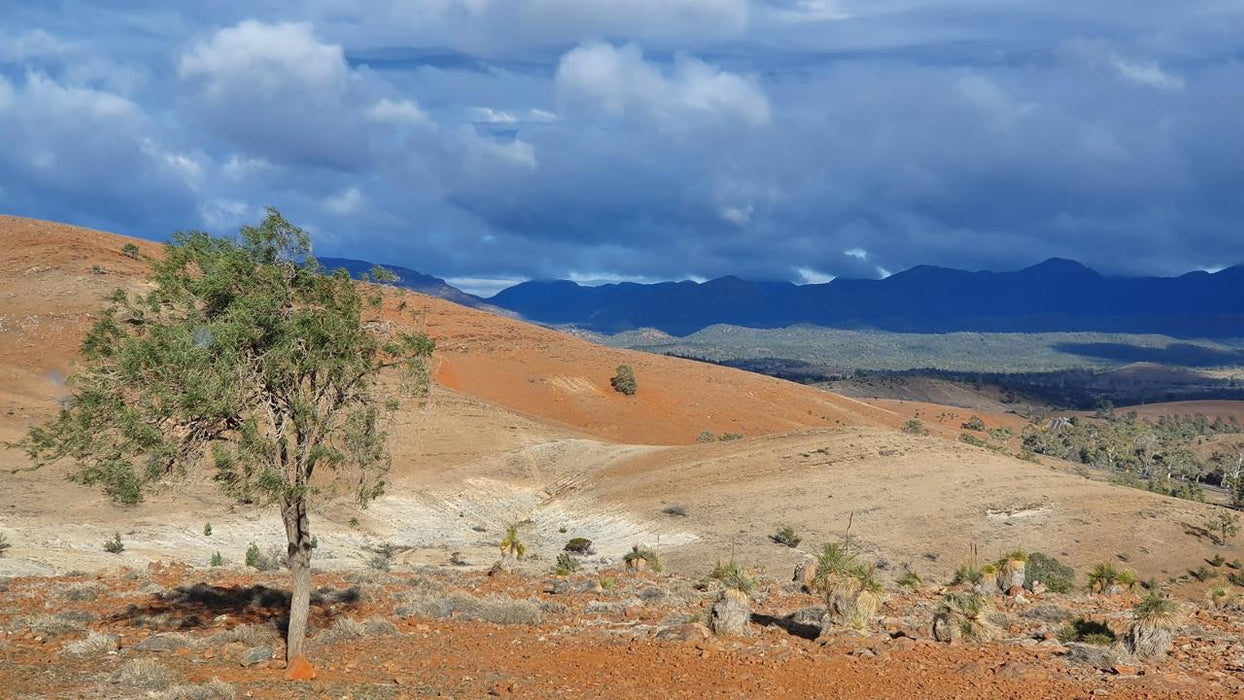 3-Day Flinders Ranges & Outback Small Group 4Wd Eco Safari