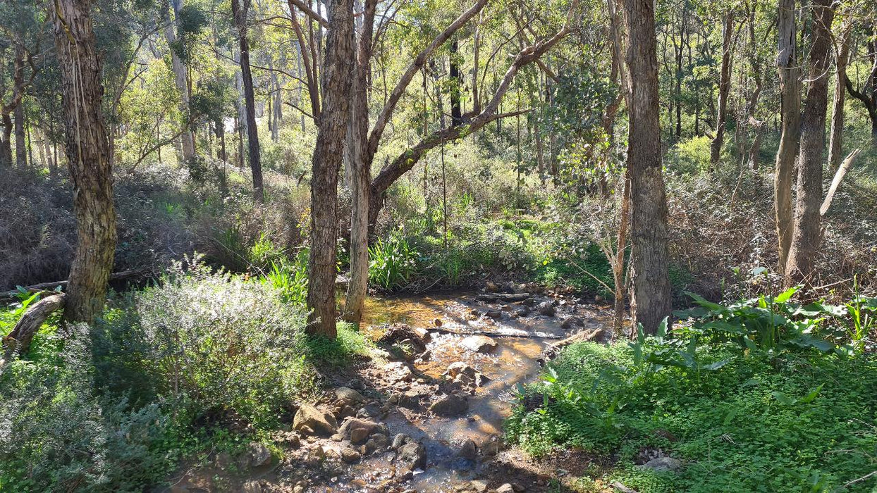 Jarrahdale Hike, Wine & Dine Experience