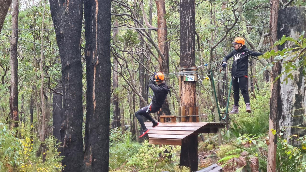 Dwellingup Treetops Adventure Hike