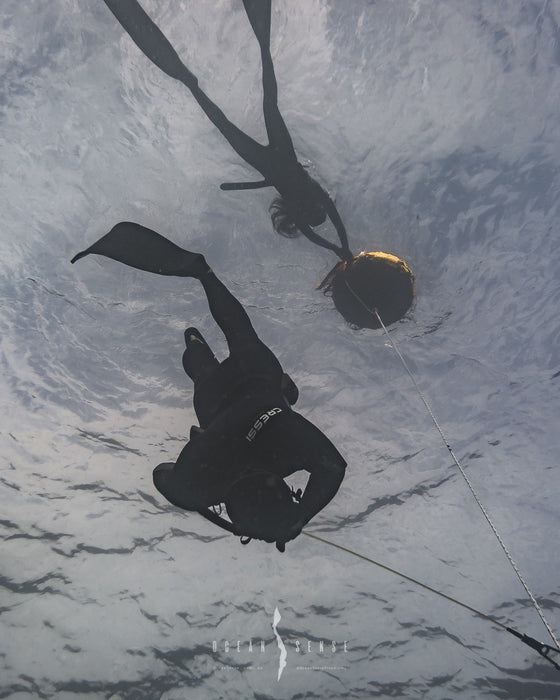 Freediving Course - Airlie Beach - 2 Day