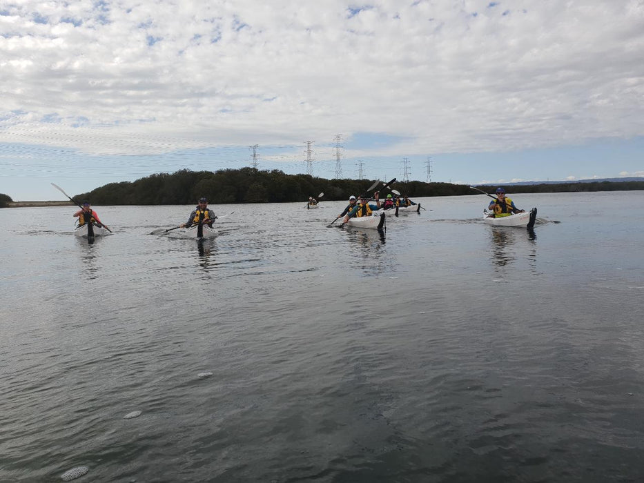 Adelaide Dolphin Sanctuary And Ships Graveyard Tour