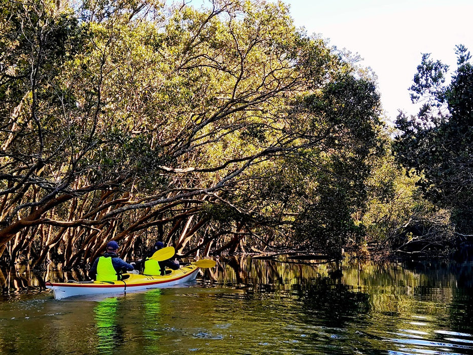 Kayaking Eco Tour - Middle Harbour