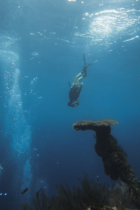 Freediving Course - Gold Coast - 2 Day