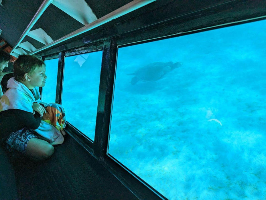 Coral Viewing Tour, Exmouth 1Hr