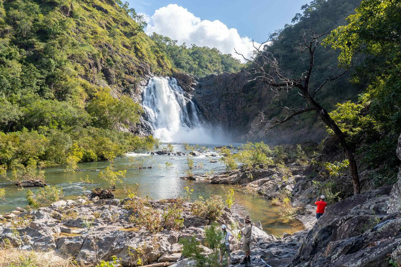 Half Day 4Wd Daintree Tour