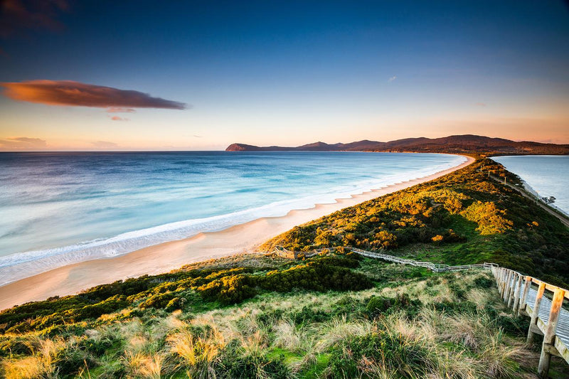 Shore Excursion - Bruny Island Day Tour