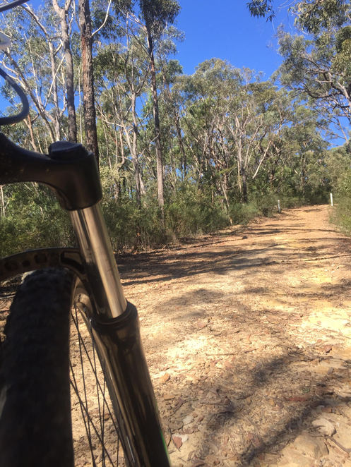 Blue Mountains - Katoomba - 28 Hour Bike Hire