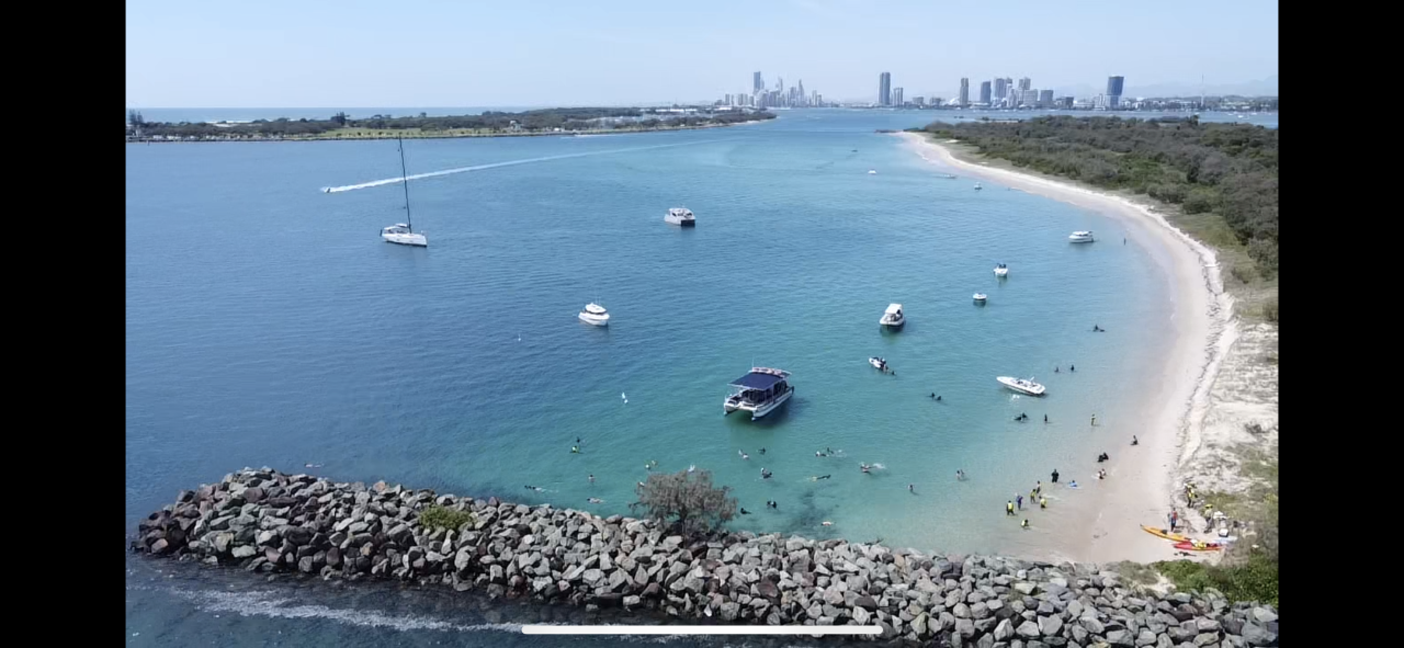 Morning Dolphin Kayaking And Snorkeling Tour