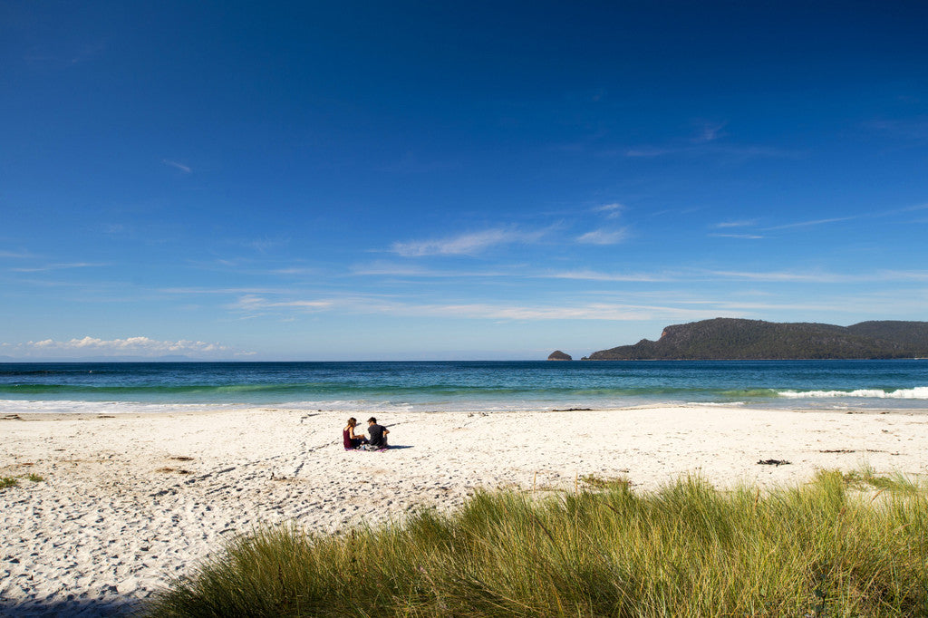 Bruny Island Discovery Tour