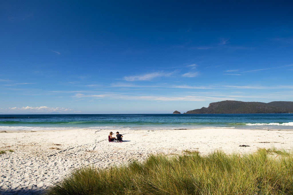 Family Bruny Island Discovery Tour