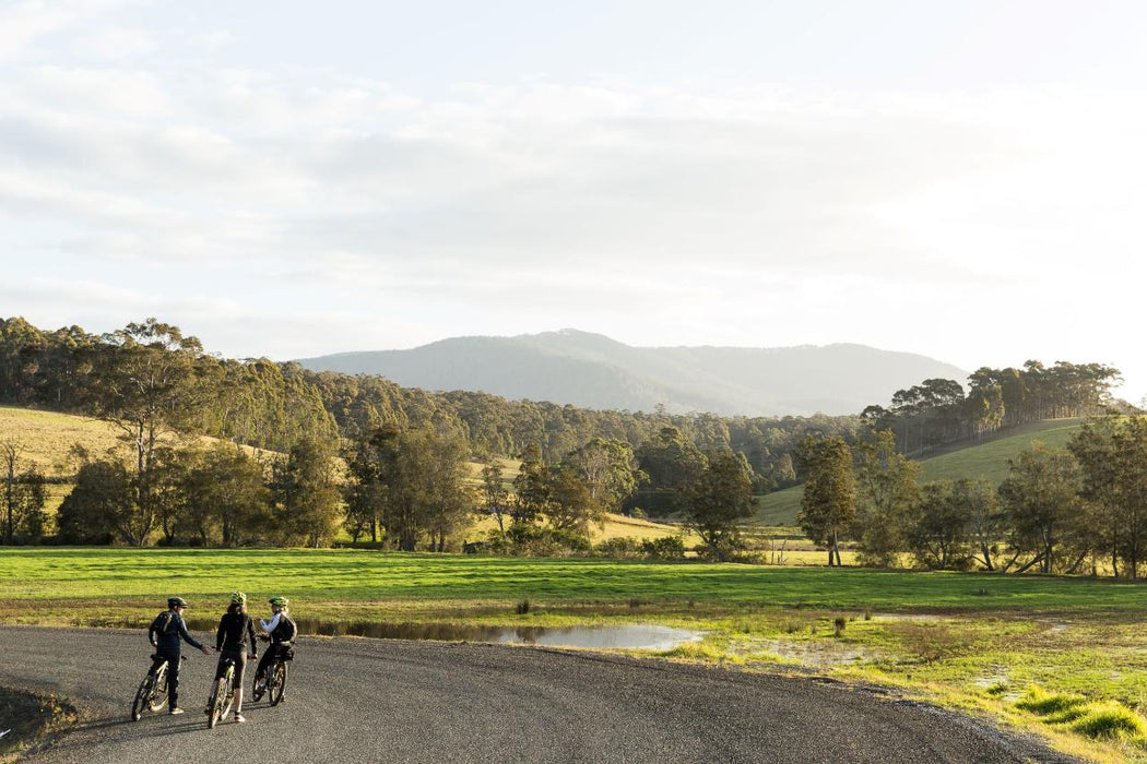 Self Guided E-Bike Tour - Pedal To Produce Series - Narooma To Tilba Valley Winery & Ale House Via O