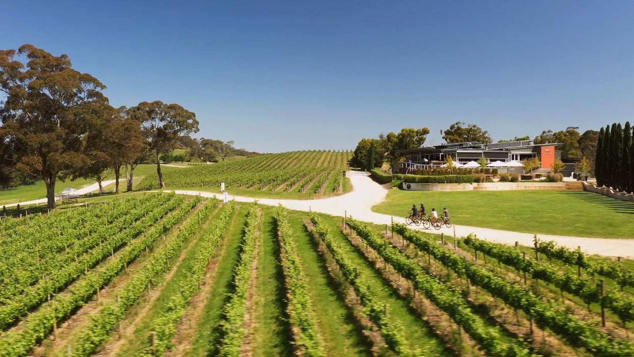 'A Taste Of Hahndorf' Gourmet Food & Wine E-Bike Tour (With Picnic)
