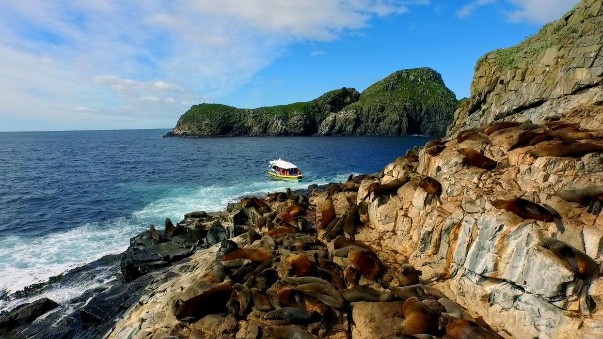 Bruny Island Cruises 3 Hour Wilderness Cruise