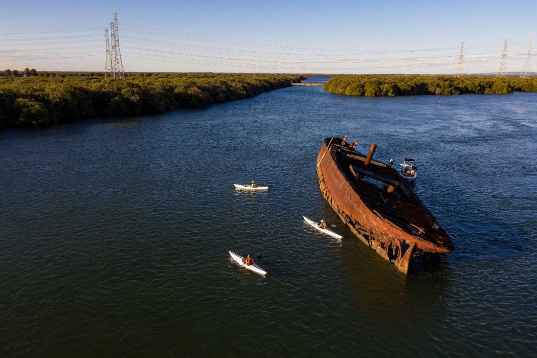 Adelaide Dolphin Sanctuary And Ships Graveyard Tour