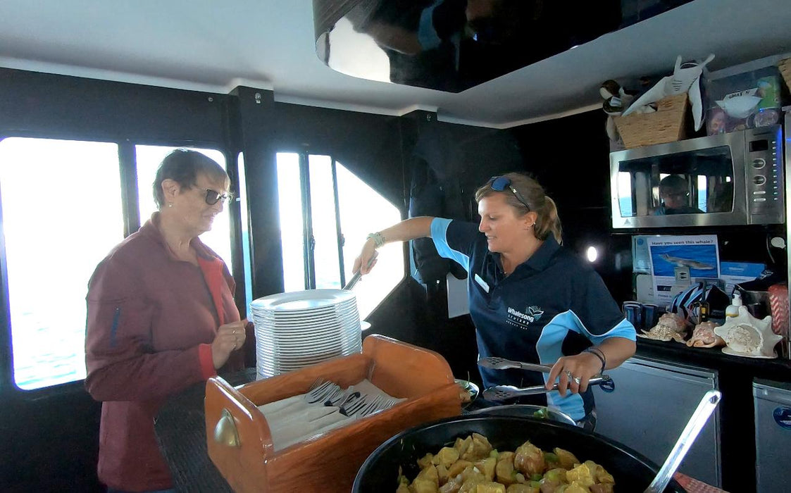 Hervey Bay Whale Search And Dolphin Watch