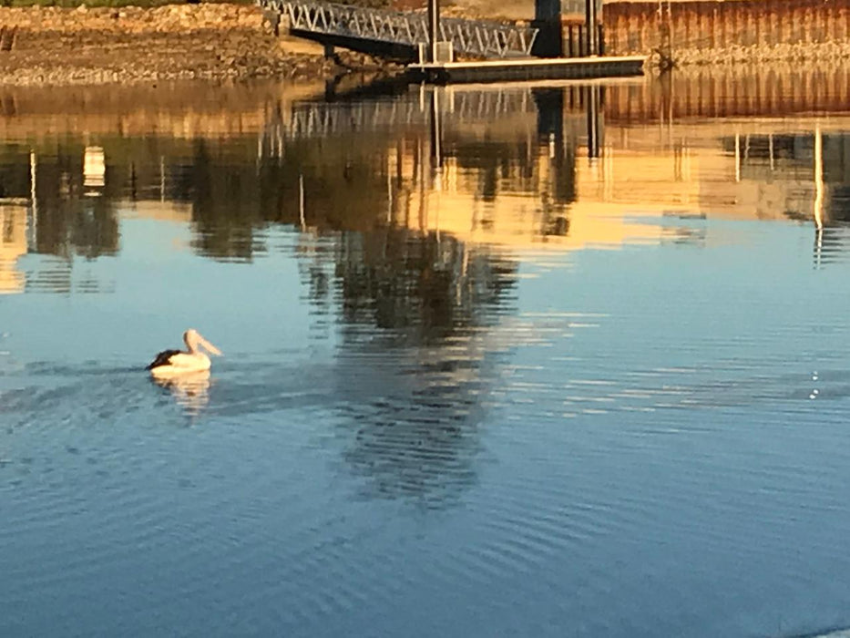 Leven River & History Cruise