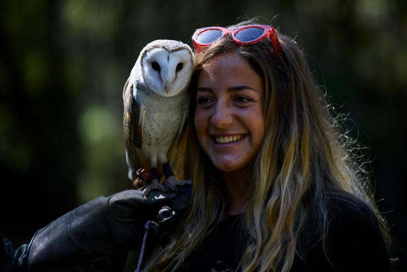 Eagles Heritage Encounters And Birds Of Prey Forest Walk