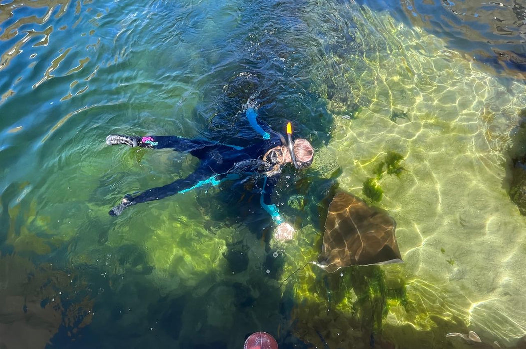 Stingray Snorkel With Entry Pass