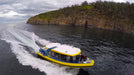 Iron Pot Cruises
