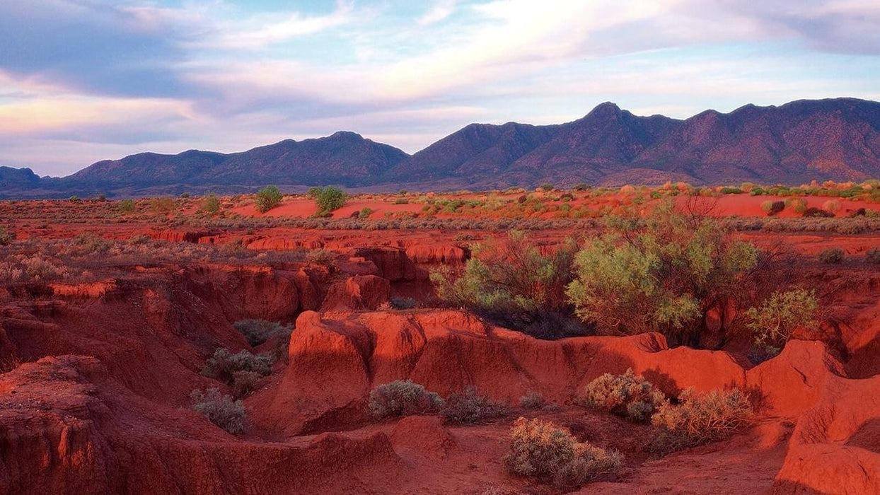 3-Day Flinders Ranges & Outback Small Group 4Wd Eco Safari