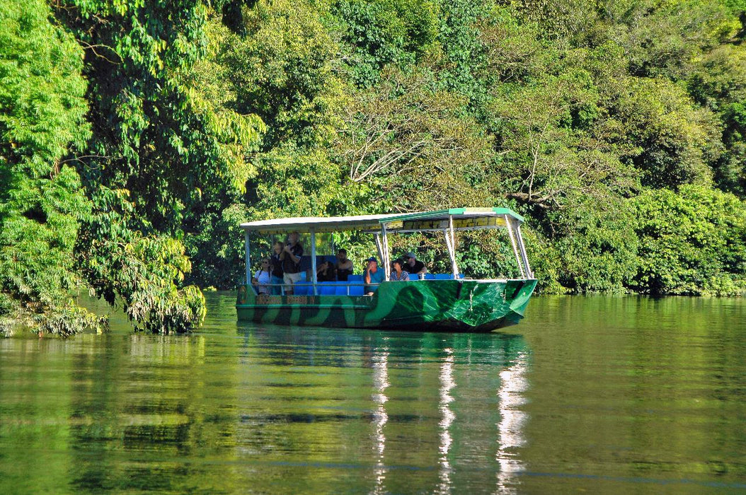 Crocodile Express Daintree Rainforest & Wildlife Cruise From Daintree Ferry Gateway