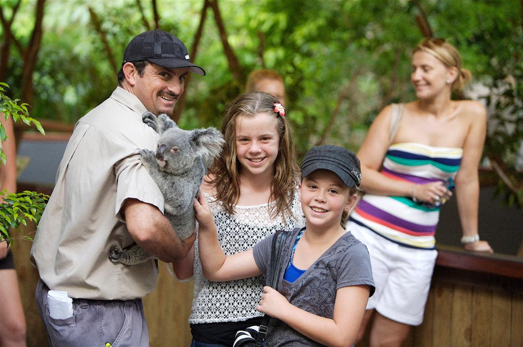 Kuranda: Scenic Rail, Skyrail And Hartley's Crocodile Adventures Q-0850 S-1130 Xc