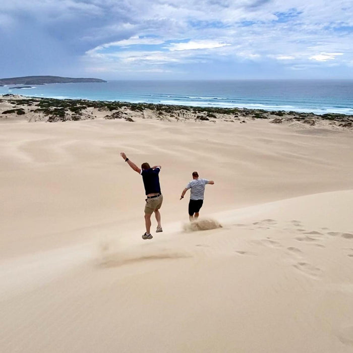 Exceptional Port Lincoln, Seafood And Wildlife Tour - Full Day