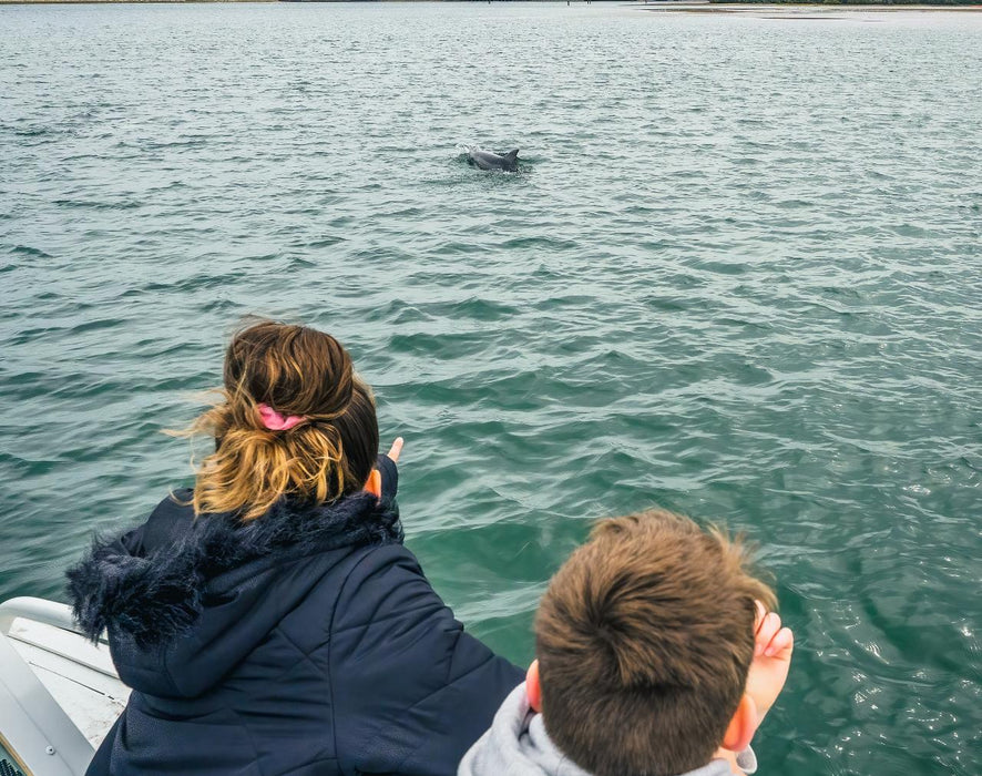 90 Minute Port River Dolphin & Ships Graveyard Cruise - We Wander