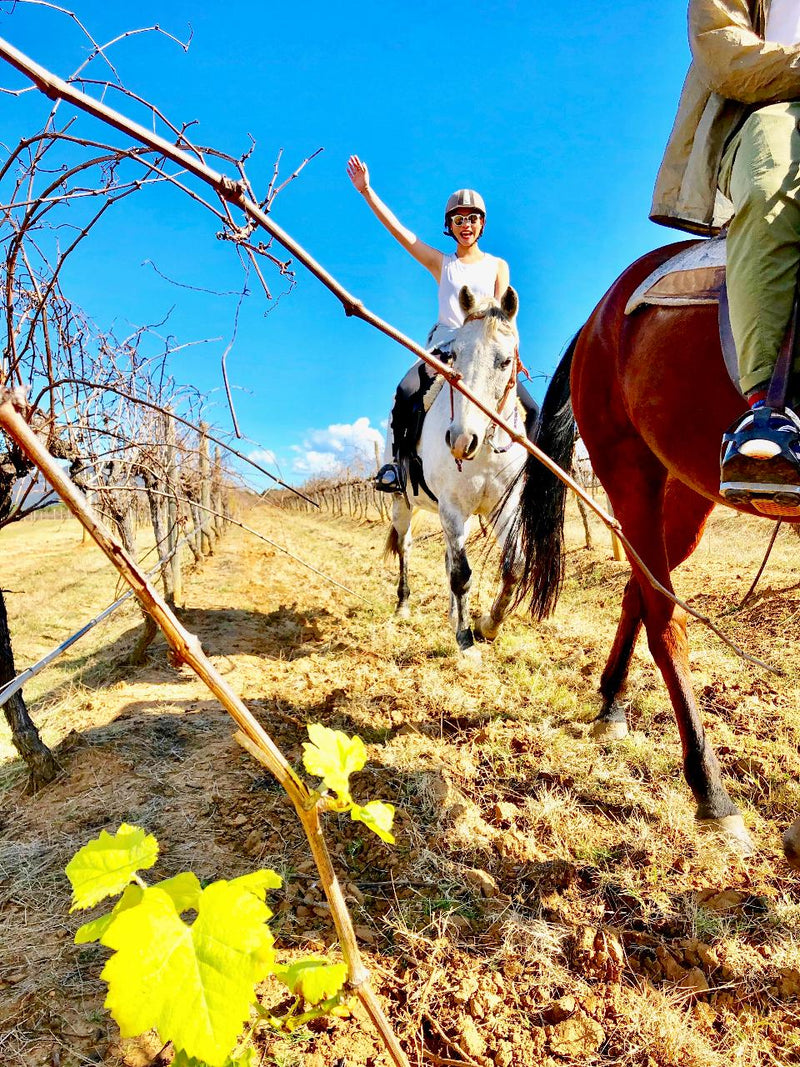 30-Minute Family Horse Ride - Bushland Trail