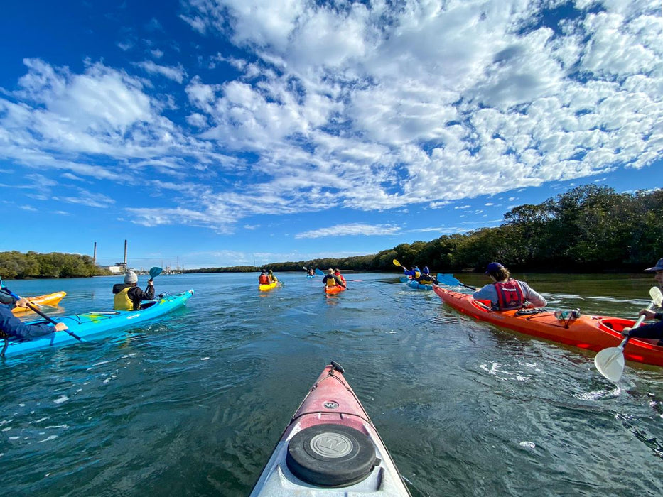 Dolphin Sanctuary Mangroves Tour