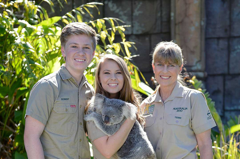 Croc Tours Koala Cuddle Adventure