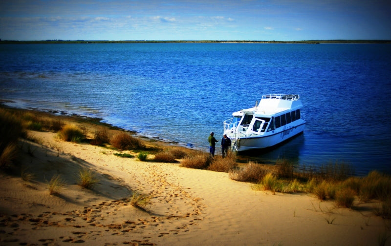 Coorong Adventure 6 Hour Cruise