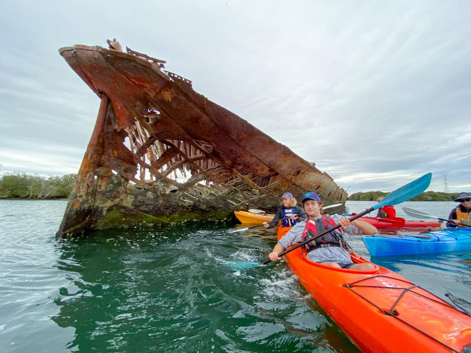 Dolphin Sanctuary & Ships Graveyard Kayak Tour