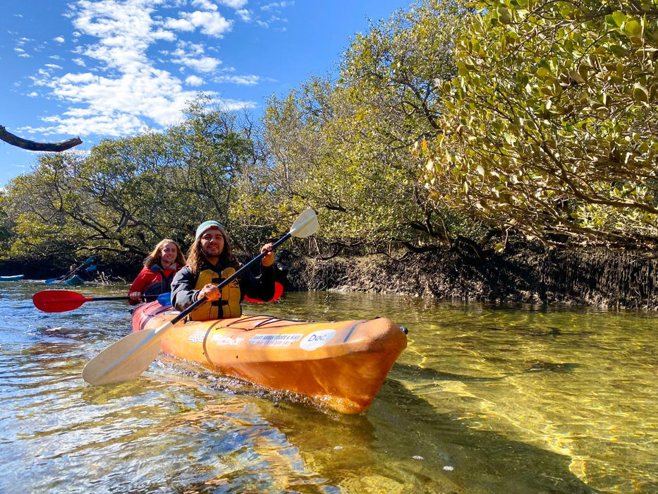 Dolphin Sanctuary Mangroves Tour